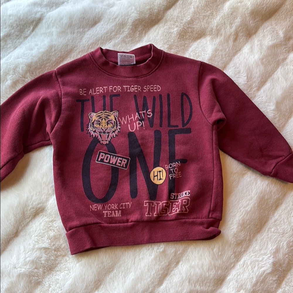 Kids Maroon Graphic Sweatshirt